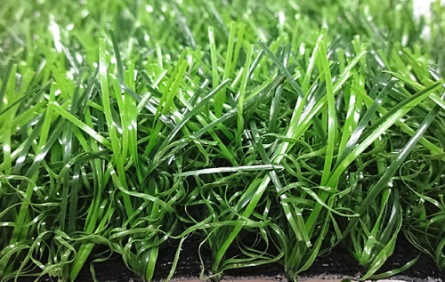 landscaping-grass-lc-1535