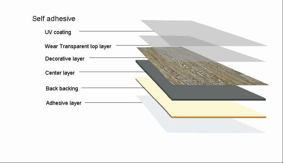 Structure & Specification – BuildStarR